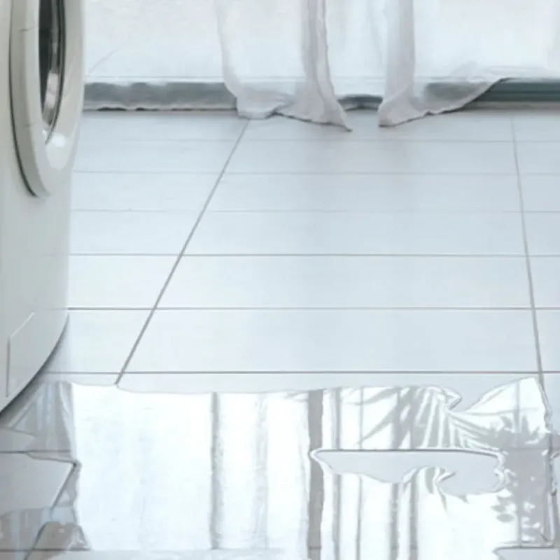 Appliance Leak Cleanup in Petersburg, MI
