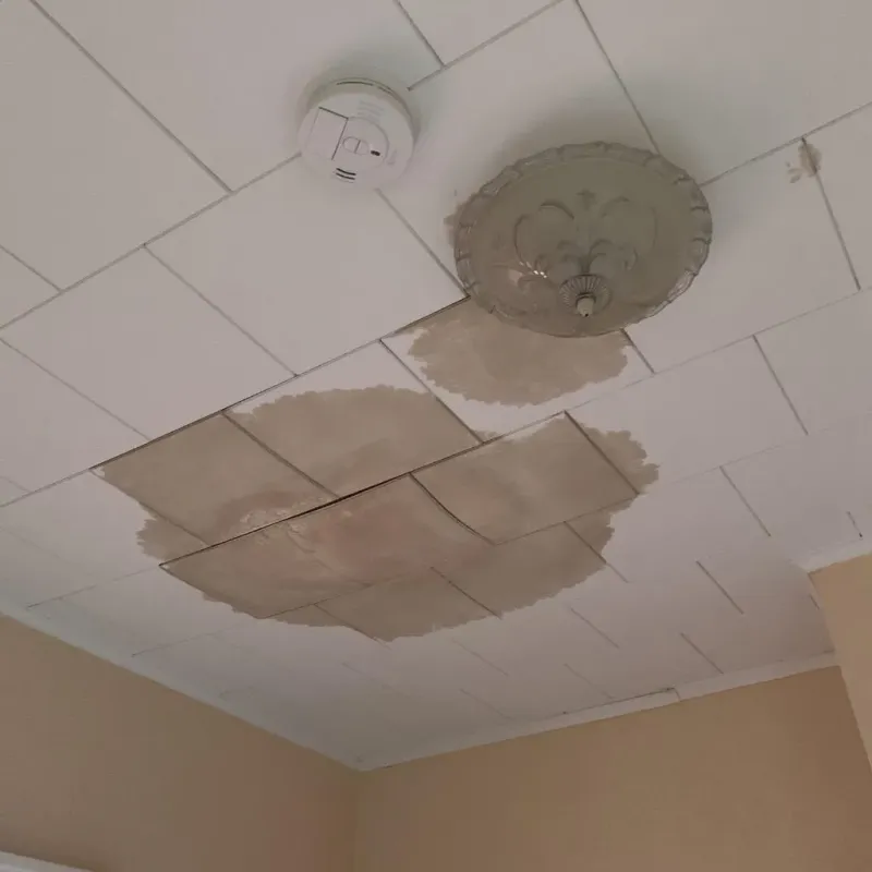 Ceiling Water Damage Repair in Petersburg, MI