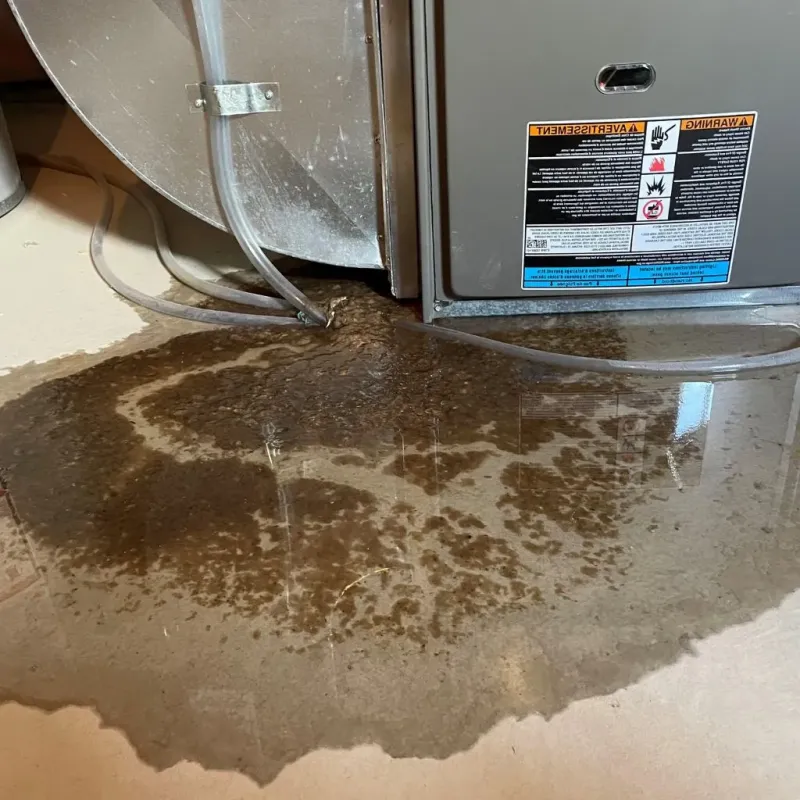 Pipe Burst and Leak Restoration in Petersburg, MI