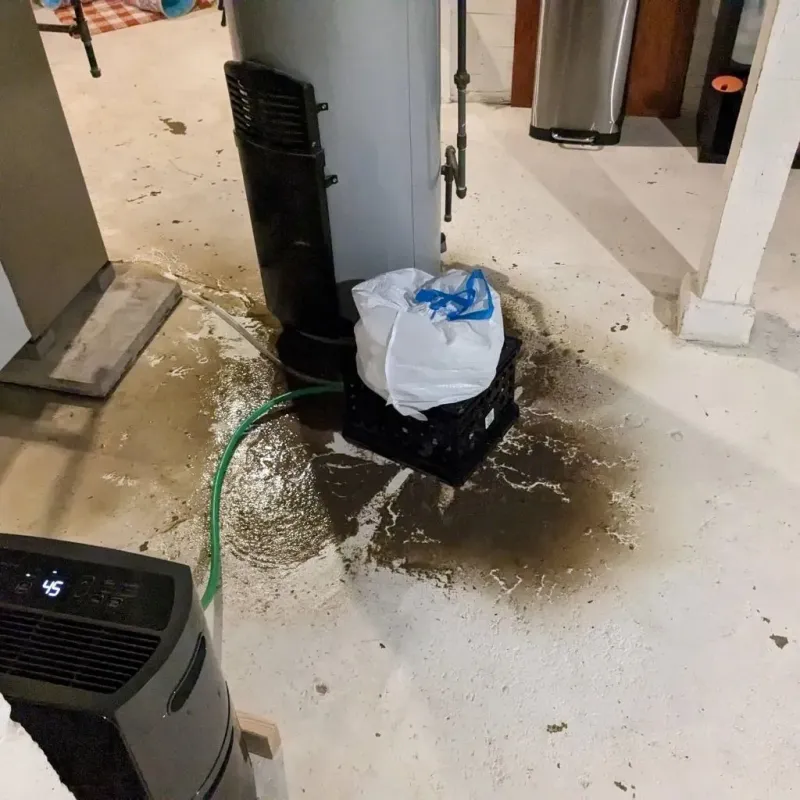 Sewage Backup Cleanup Service in Petersburg, MI
